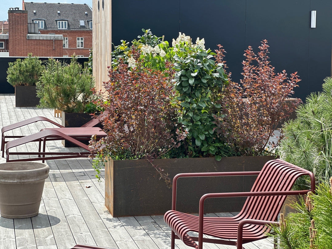 Planter til terrassen | Gi terrassen nytt liv | Stålhagen