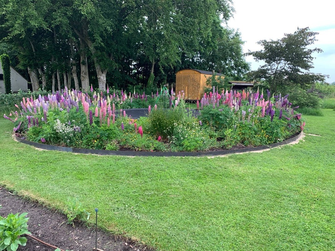 Design av villhage | Tips til anlegg av villhage | Stålhagen