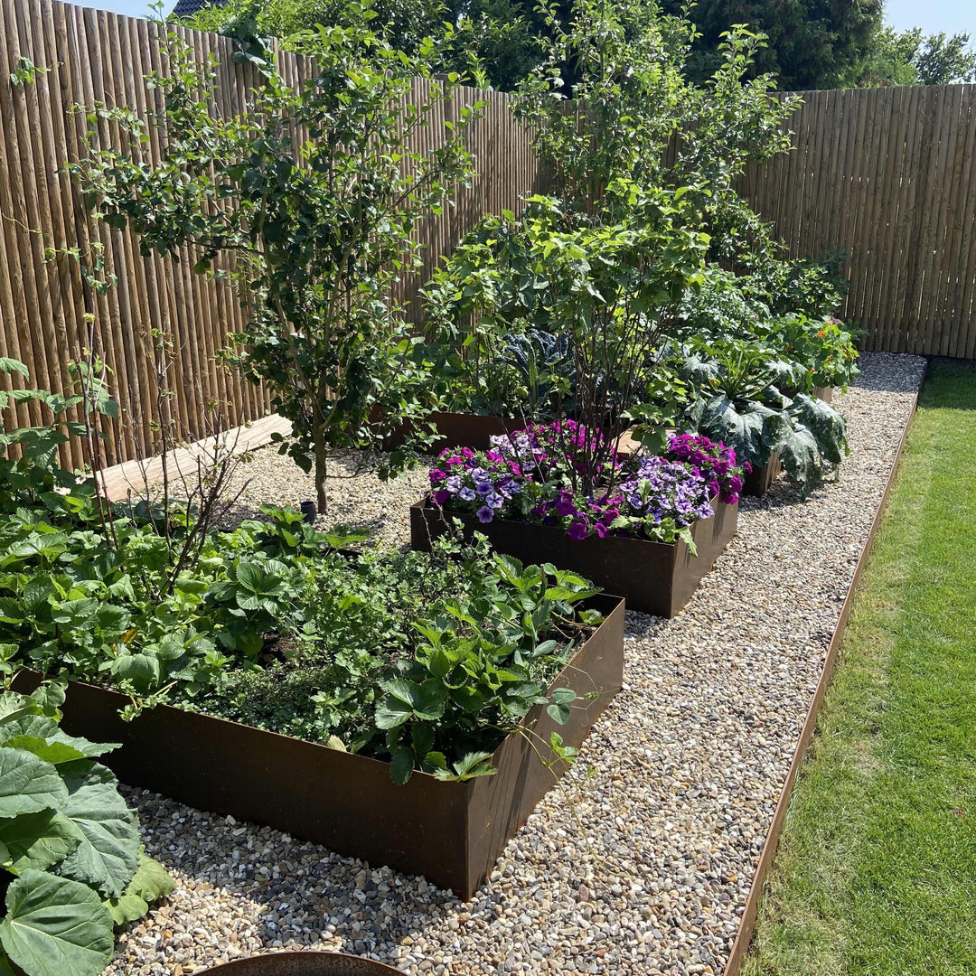 Hva kan du dyrke i høybed? Få inspirasjon til frø og blomster her