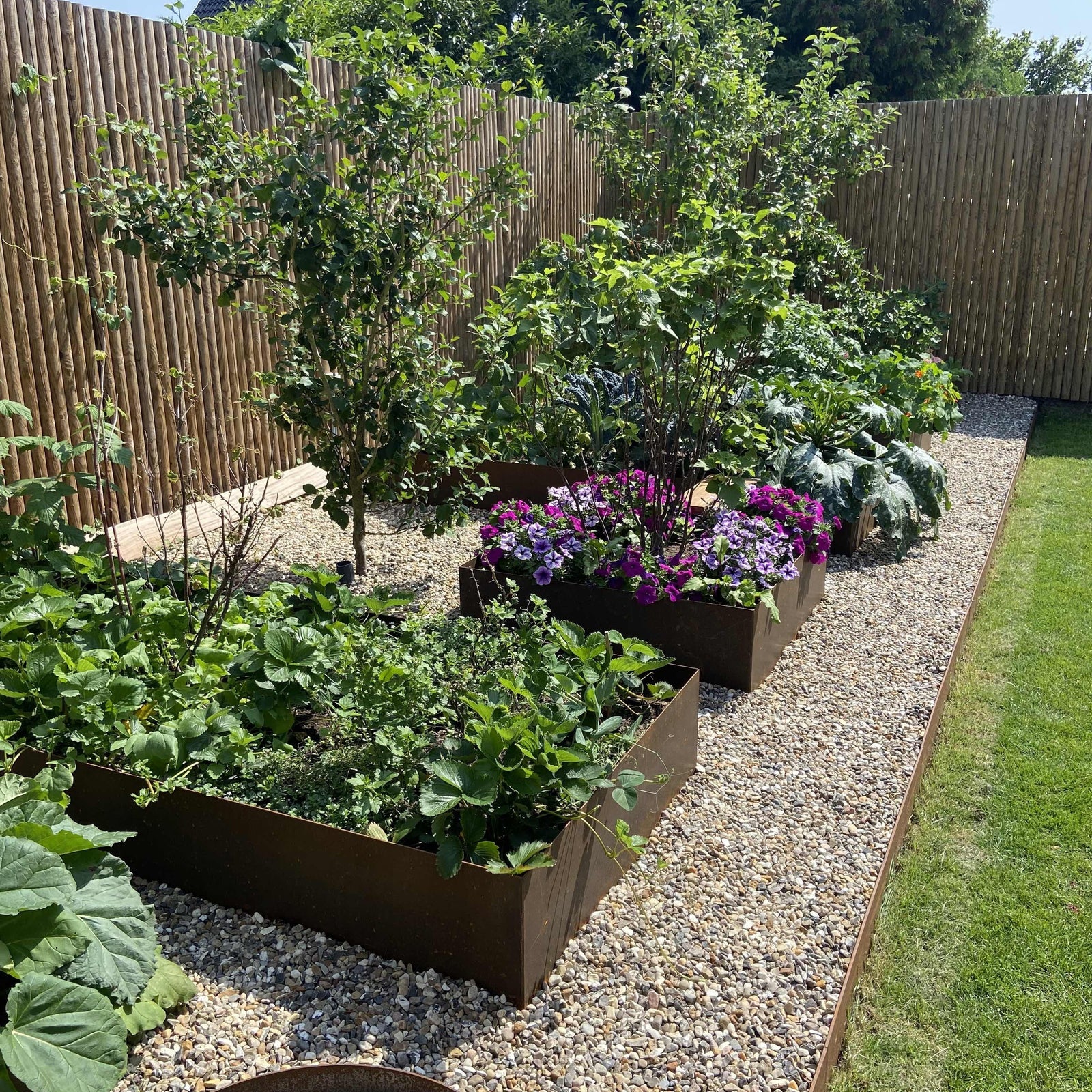 Hva kan du dyrke i høybed? Få inspirasjon til frø og blomster her