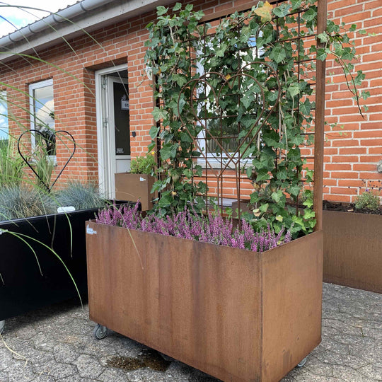 Plantekasse med espalier