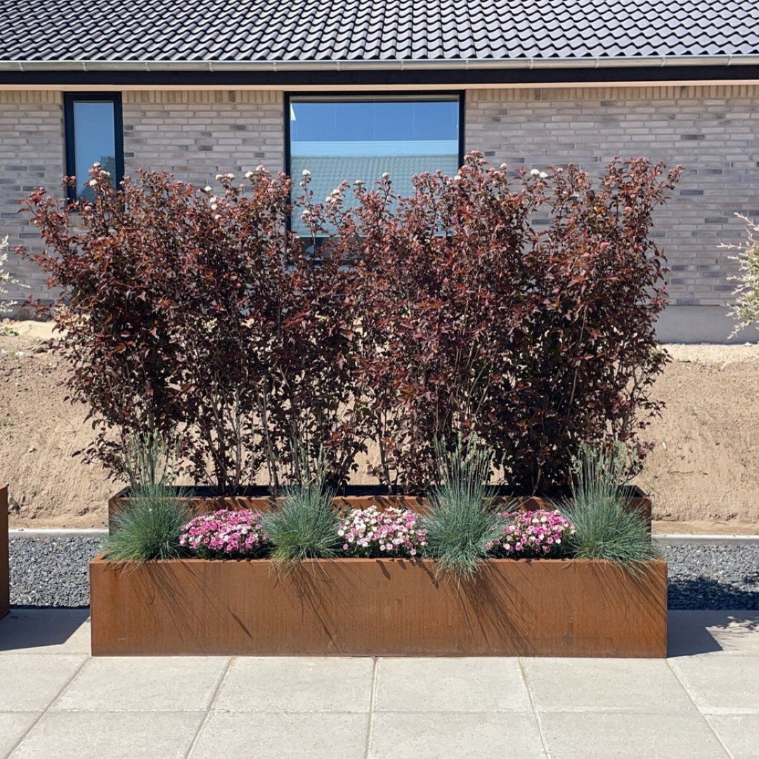 Plantekasse, kvadratisk modell