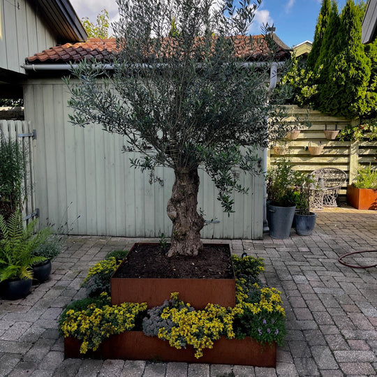 Plantekasse, kvadratisk modell