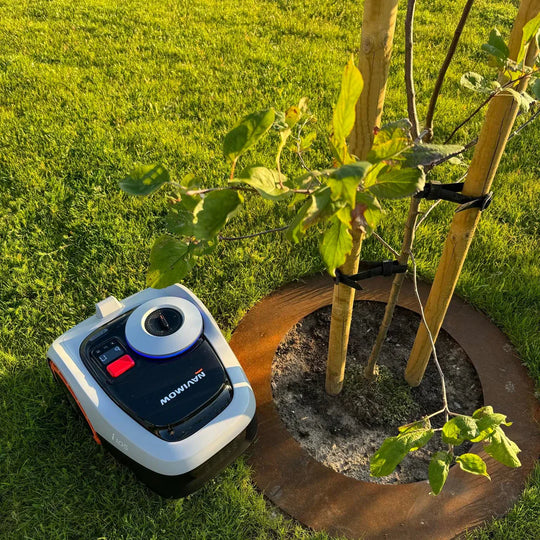 Robotsirkel i cortenstål