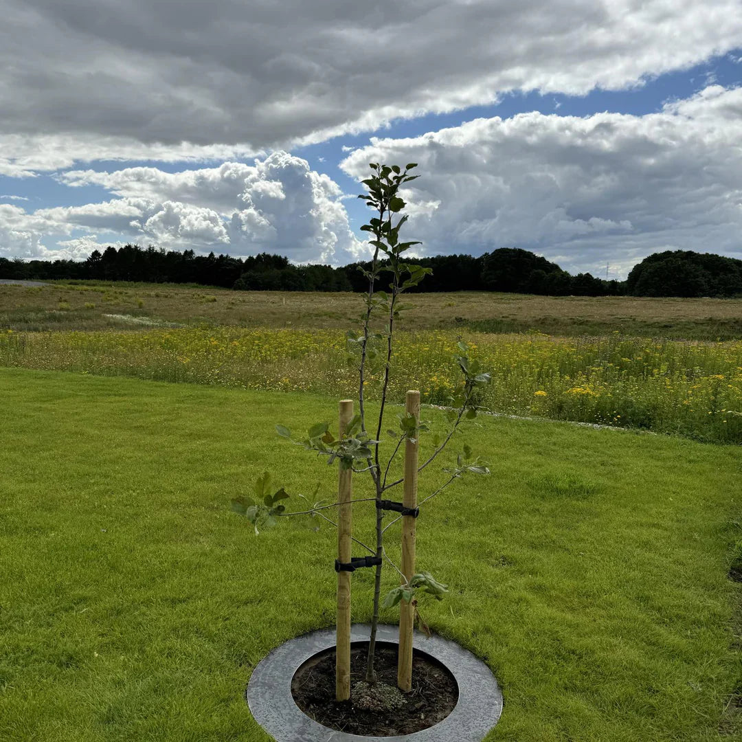 Robotsirkel i cortenstål