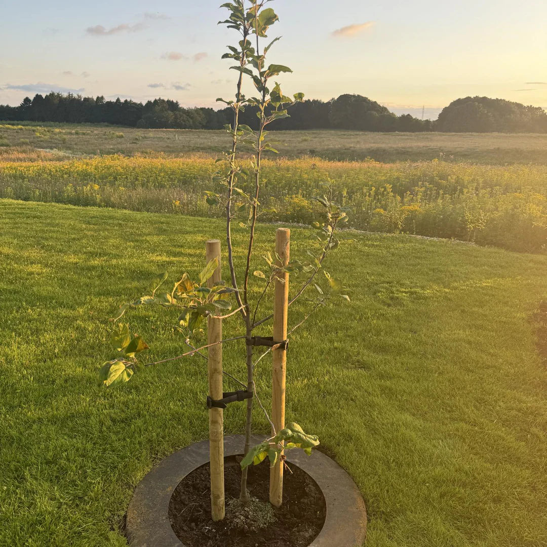 Spesialmål: Robotsirkel i cortenstål