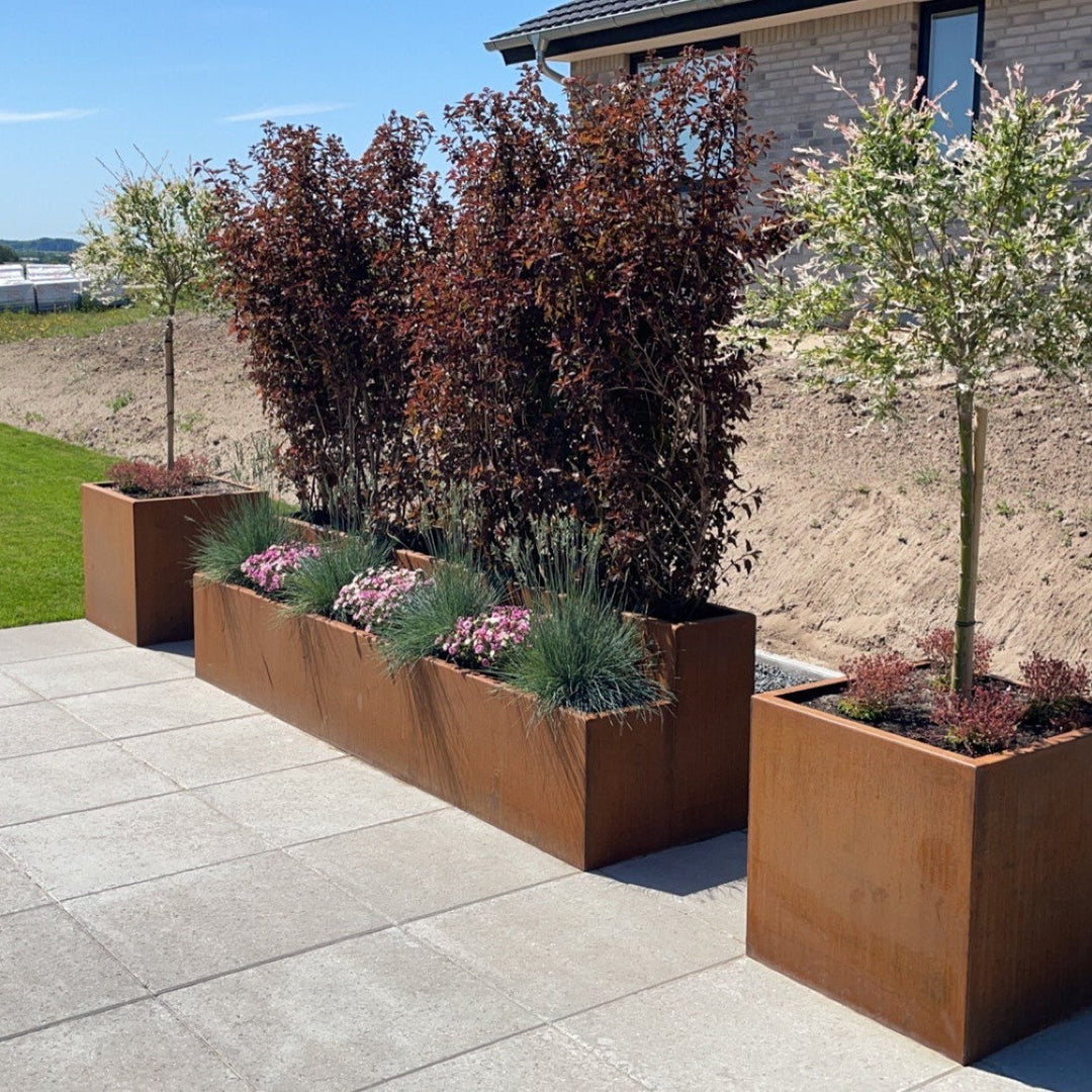 Plantekasse, kvadratisk modell