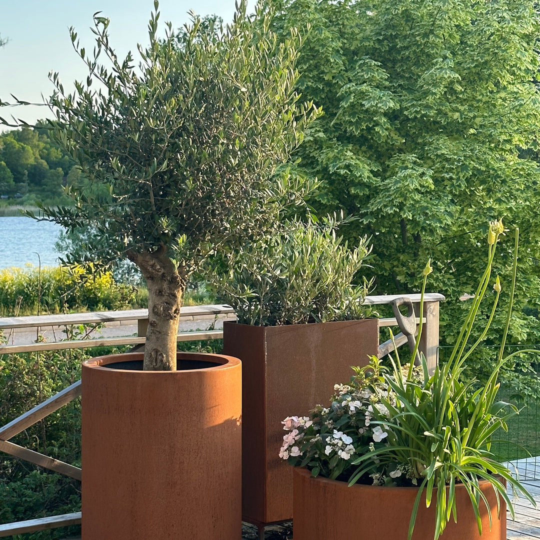 Runde plantekasser med buet kant